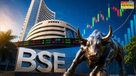 BSE 5000% रिटर्न! अब धांसू रिजल्ट; फिर भी लुढ़का शेयर, क्या खरीदने का ये सही मौका?