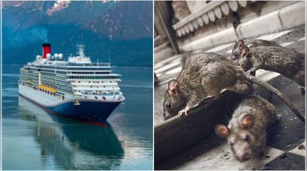 Hantavirus: देश में हंता वायरस के मामलों को लेकर भारत सरकार अलर्ट, हेल्थ मिनिस्ट्री ने बढ़ाई मॉनिटरिंग
