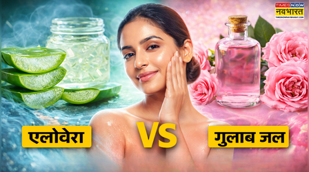 एलोवेरा या गुलाब जल? गर्मियों में स्किन को कौन देता है AC सी ठंडक