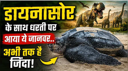 डायनासोर के समय से धरती पर मौजूद है ये जीव, ज्यादातर नहीं जानते होंगे जवाब