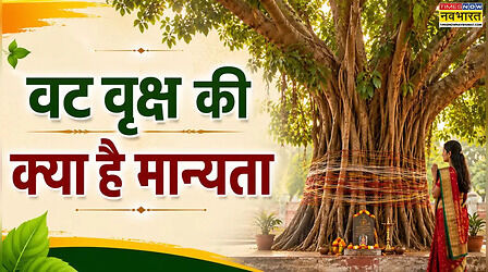 वट सावित्री व्रत पर क्यों होती है वट वृक्ष की पूजा, जानें क्या है बरगद के पेड़ का महत्व