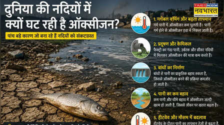 दुनिया की नदियों में क्यों घट रही है ऑक्सीजन? वो पांच कारण जिसके कारण संकट में है 'जीवनदायनी'