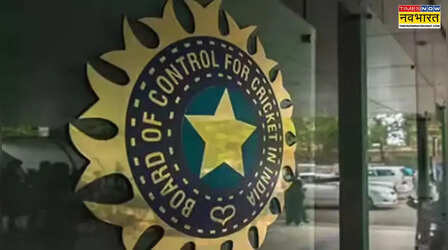 ‘BCCI RTI एक्ट के दायरे में नहीं’, CIC ने दी सलाह, कहा- सरकार का थोपा गया नियंत्रण बिगाड़ सकता है ढांचा