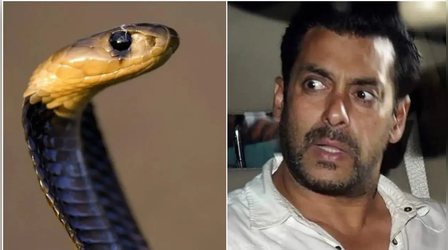 Salman Khan के गैलेक्सी अपार्टमेंट में घुसा सांप, हलचल मचते ही मौके पर पहुंची रेस्क्यू टीम