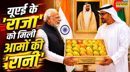 अबू धाबी गए तो अपने साथ केसर आम भी ले गए थे PM, जानें ये आम क्यों हैं खास, जूनागढ़ से जुड़ा है इतिहास