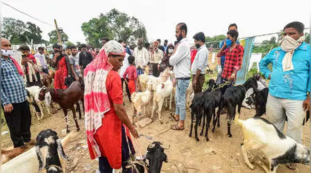 Delhi: खुले में कुर्बानी पर रोक लगाने की मांग; सुप्रीम कोर्ट के वकील ने पुलिस कमिश्नर और MCD को दी शिकायत