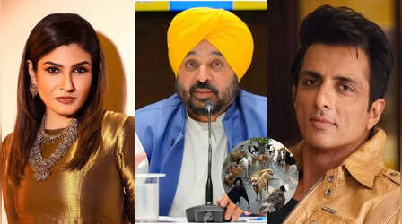 आवारा कुत्तों पर CM भगवंंत मान के आदेश पर इन स्टार्स ने उठाए सवाल, Sonu Sood बोले- हटाना या मारना सही हल नहीं