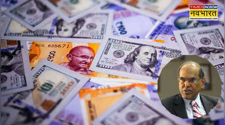Dollar vs Rupee: रुपये को अभी और गिरने दे RBI, ऐसा क्यों बोले पूर्व गवर्नर सुब्बाराव