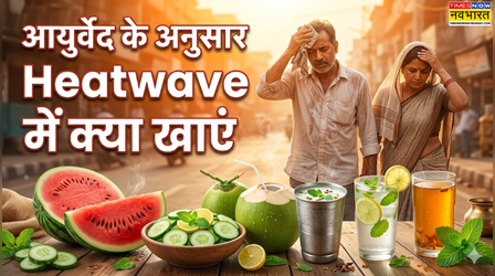 आयुर्वेद के अनुसार Heatwave में क्या खाएं, गलत खानपान बना सकता है बीमार, लू और थकान से बचना है तो जान लें ये आसान बातें