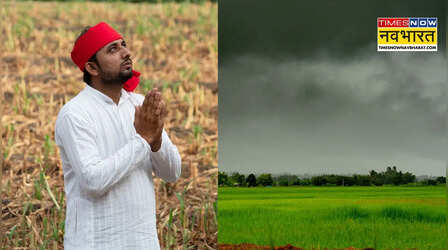 IMD Rainfall Forecast: सामान्य से कम मानसून होने की आशंका, महंगाई बढ़ने और कृषि उत्पादन प्रभावित होने का खतरा