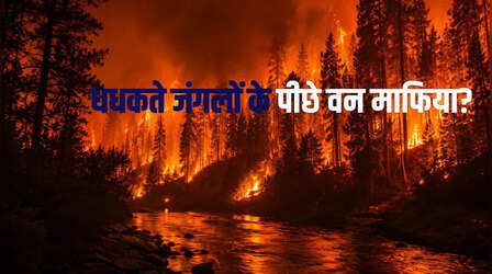 जंगल की आग का 'इकोनॉमिक्स' : क्या धुएं के पीछे छिपा है 'काला खेल'?