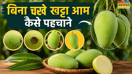 ​आम मीठा निकलेगा या खट्टा? खरीदने से पहले जान लें ये 7 आसान टिप्स​