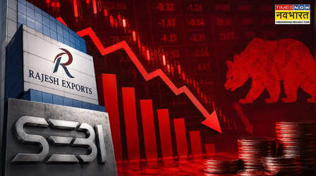 SEBI के एक्शन से Rajesh Exports के शेयर धड़ाम, LIC और FII के करोड़ों रुपये फंसे