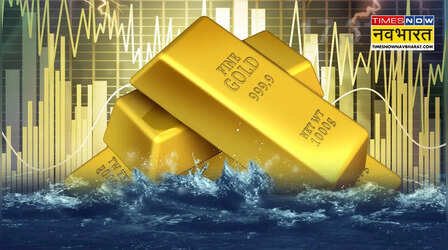 HDFC म्यूचुअल फंड ने गोल्ड ETF और FOF में बड़े निवेश पर लगाई अस्थायी रोक, निवेशकों के लिए नया नियम लागू
