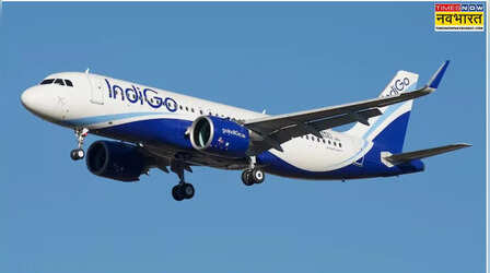 Indigo Flight: बेंगलुरु-मुंबई इंडिगो फ्लाइट से टकराया पक्षी, टेकऑफ के वक्त रनवे पर हुआ हादसा