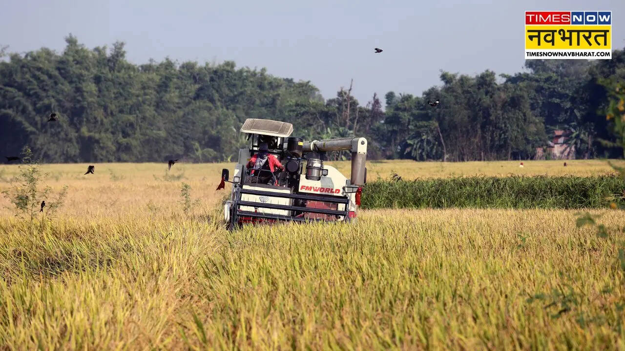बेरोजगारों के लिए कृषि ही सहारा! दक्षिण एशिया में एग्रीकल्चर सेक्टर क्रिएट करेगा लाखों रोजगार, वर्ल्ड बैंक ग्रुप का अनुमान