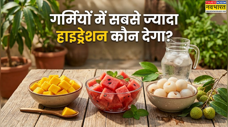आम, तरबूज और लीची में कौन देता है सबसे ज्यादा हाइड्रेशन, हीटवेव में क्या खाने से नहीं चकराएगा सिर