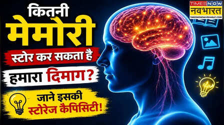 कितना डेटा स्टोर कर सकता है हमारा दिमाग, जानें क्या है इसकी स्टोरेज कैपिसिटी