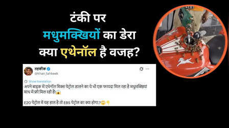 पेट्रोल है या शहद, बाइक की टंकी पर टूट पड़ीं मधुमक्खियां, वीडियो वायरल, लेकिन सच क्या है?
