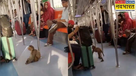 Delhi Metro में घुसा बंदर, कोच में घुसकर खूब मचाई धमाचौकड़ी, Video देख लोगों ने पूछा- आखिर यहां पहुंचा कैसे