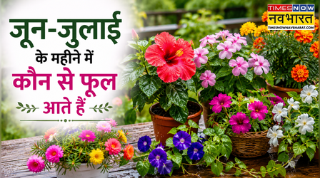 जून-जुलाई के महीने में कौन से फूल आते हैं, बालकनी लगेगी हरी-भरी, आज ही नर्सरी से ले आएं