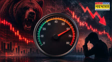शेयर मार्केट में क्या होता है 'VIX', क्यों इसे कहा जाता है निवेशकों के 'डर का सूचकांक'; कैसे करता है काम?
