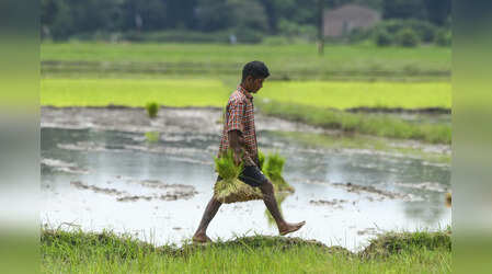 खेती की जमीन बेची है? जानें कितना देना होगा टैक्स और ITR में कहां दें जानकारी