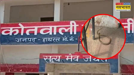 वॉशिंग मशीन से निकला 'काल', सांप के डसने के बाद युवक और महिला ने उतारा मौत के घाट, फिर लेकर पहुंचे अस्पताल