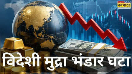 भारत का विदेशी मुद्रा भंडार 5.65 बिलियन डॉलर घटकर 666.93 बिलियन डॉलर पर पहुंचा