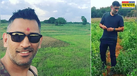 माही का मास्टरस्ट्रोक अब खेतों में, 43 एकड़ के खेतों में कैप्टन कूल Dhoni उगाते हैं ये खास फल-सब्जियां, आप भी ऐसे खरीद सकते हैं