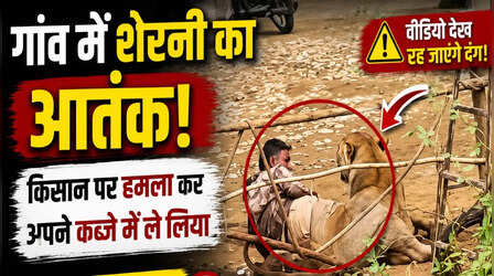 OMG! गांव में घुसी शेरनी ने किसान को दबोचा, Video देखकर लोगों की थम गई सांसें