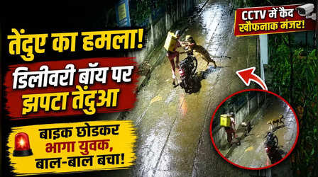 बाइक से जा रहे डिलीवरी बॉय पर झपटा तेंदुआ, खौफनाक Video देख हलक में आ जाएगी जान
