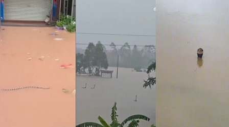 Viral Video: बाढ़ के बीच 900 से ज्यादा सांपों का आतंक...इस वीडियो को देखकर लोगों के रोंगटे हो गए खड़े