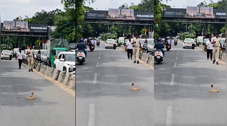 Viral Video: भीड़ भाड़ वाली सड़क पर कुंडली मारकर बैठा था कोबरा, रोड पर लग गया ट्रैफिक जाम