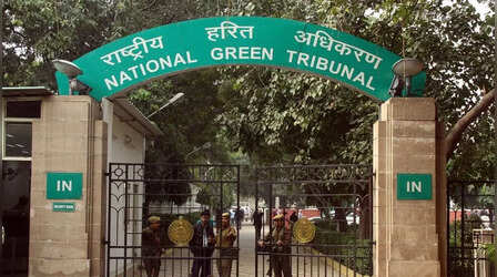 एनजीटी ने लगाई तीन अंतरराष्ट्रीय क्रिकेट स्टेडियमों में खेल गतिविधियों पर रोक, जानिए क्या है मामला