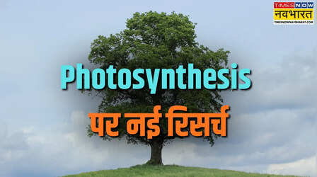 ग्रोथ रुकने के बाद भी कार्बन सोखते रहते हैं पेड़, नए वैज्ञानिक शोध ने दुनिया को चौंकाया; जलवायु परिवर्तन की भविष्यवाणी पर उठे सवाल