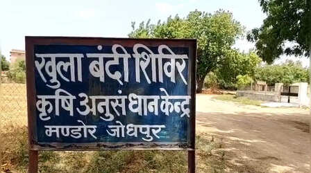 मोहब्बत के आगे फीकी पड़ी जेल की सलाखें! उम्रकैद काट रहे दो कैदियों को हुआ प्यार, अब शादी की मिली इजाजत