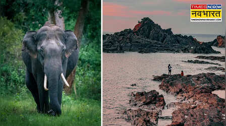 Karnataka Heritage Trail: हम्पी और बादामी गुफाओं की शानदार यात्रा, 6 दिन की है ट्रिप, जानें खर्चा