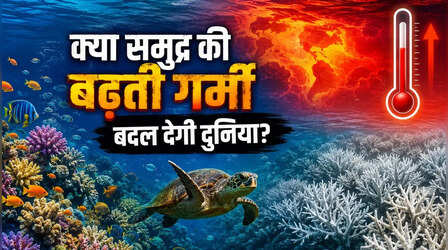 Ocean Warming Explained: समुद्र का बढ़ता तापमान क्यों बना दुनिया के लिए खतरा? जानिए समुद्री जीवन और इंसानों पर इसका कितना असर