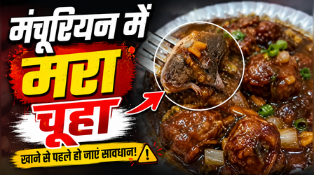 VIDEO: रेस्टोरेंट में मंगाया गरमा-गरम मंचूरियन, खाने के लिए जैसे ही पीस उठाया तो देखकर हालत पतली हो गई