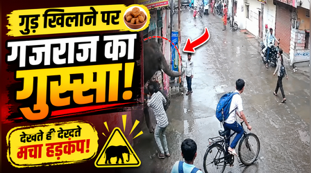 VIDEO: चंद सेकंड में पलट गया खेल! हाथी को गुड़ खिलाते ही बेकाबू हुआ 'गजराज', CCTV में कैद हुआ खौफनाक मंजर