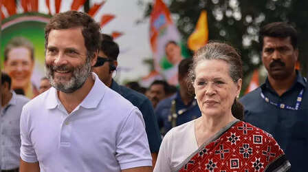 नेशनल हेराल्ड केस:दिल्ली हाईकोर्ट ने सोनिया गांधी-राहुल गांधी से ED की याचिका पर मांगा जवाब, तीन सप्ताह का दिया समय