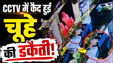 Viral Video: चूहों ने चुराए 10 लाख के गहने, चोरों को ढूंढने के लिए पुलिस नहीं बुलाना पड़ा कारपेंटर, CCTV में कैद हुई घटना