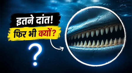 इतने दांत होने का क्या फायदा? मुंह में 100-200 दांत फिर भी अपने शिकार को चबा के नहीं बल्कि निगलकर खाते हैं ये समुद्री जीव
