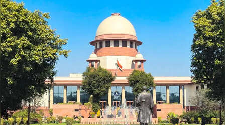NEET पेपर लीक रोकने का फुलप्रूफ प्लान! केंद्र सरकार ने सुप्रीम कोर्ट में दाखिल किया हलफनामा