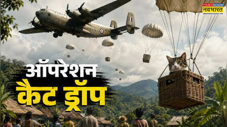 मिटाने चले थे मलेरिया, पैराशूट से गिरानी पड़ी बिल्लियां; जानिए किस्सा सबसे अजीब सरकारी मिशन का