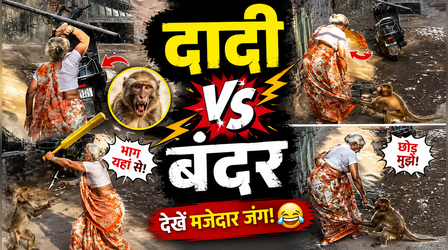 जब बंदर से भिड़ गईं 70 साल की बुजुर्ग महिला! फिर जो हुआ उसने सारा माहौल ही बदल दिया, देखें VIDEO