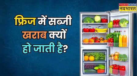 Fridge Tips: एक सेटिंग की वजह से जल्दी खराब हो जाती हैं सब्जियां, ज्यादातर लोग करते हैं ये गलती