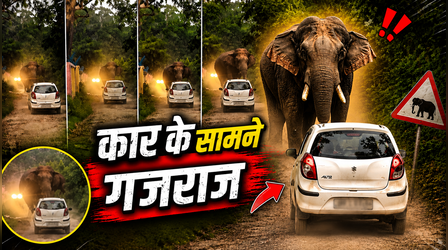 गजराज के सामने स्टंटबाजी...हाथी के सामने हॉर्न बजाते हुए टशन में पहुंची महिला, VIDEO में देखें क्या हुआ?