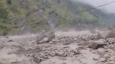 Uttarakhand में आज फ्लैश फ्लड का खतरा, अल्मोडा, देहरादून, टिहरी सहित 12 जिलों में IMD का अलर्ट